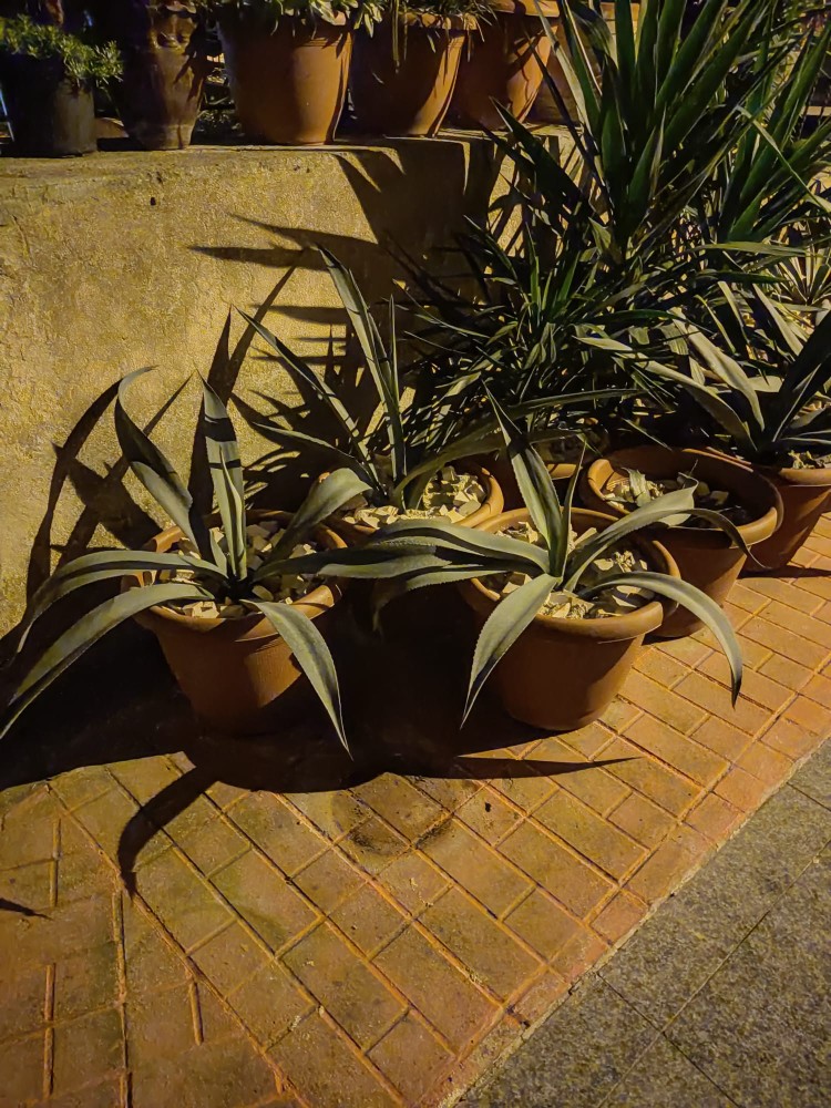 WhatsApp Image 2025-11-21 at 23.21.51.jpeg