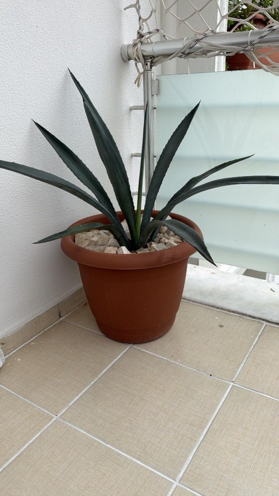 WhatsApp Image 2025-11-23 at 13.21.20.jpeg