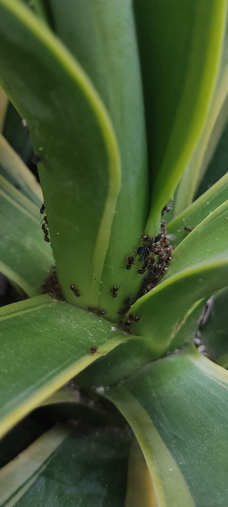 WhatsApp Image 2025-11-29 at 22.20.59.jpeg