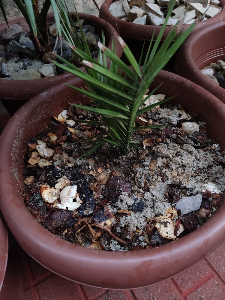 WhatsApp Image 2025-11-29 at 22.19.59(2).jpeg