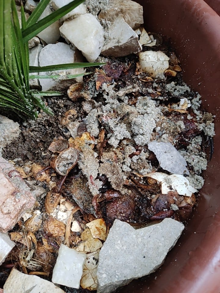 WhatsApp Image 2025-11-29 at 22.19.59(3).jpeg