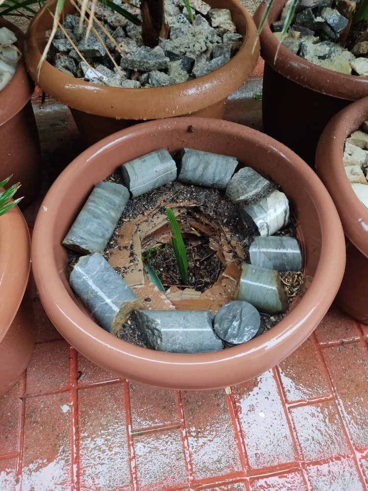 WhatsApp Image 2025-11-29 at 22.45.39.jpeg