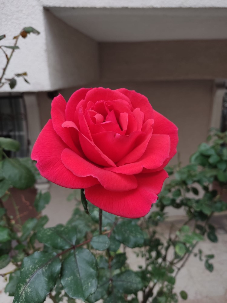 WhatsApp Image 2025-11-29 at 22.19.59(4).jpeg