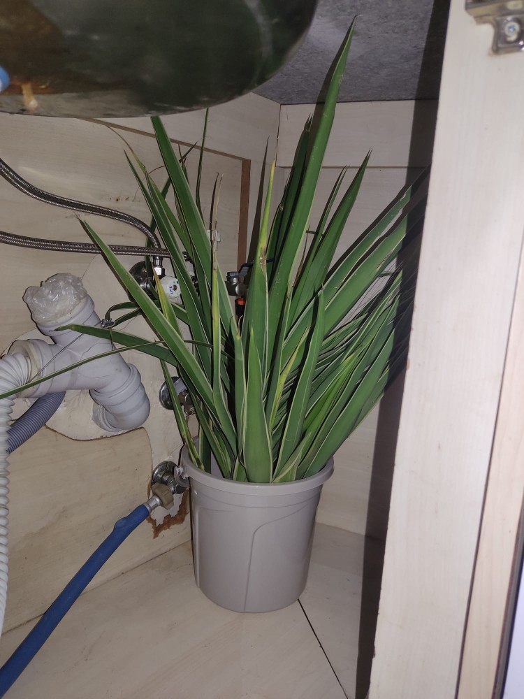 WhatsApp Image 2025-11-29 at 22.19.59.jpeg