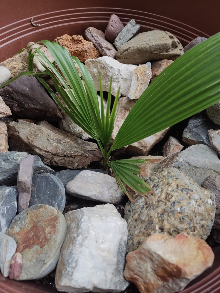 WhatsApp Image 2025-12-06 at 01.17.04.jpeg