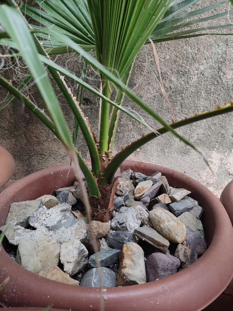 WhatsApp Image 2025-12-06 at 01.17.05(1).jpeg