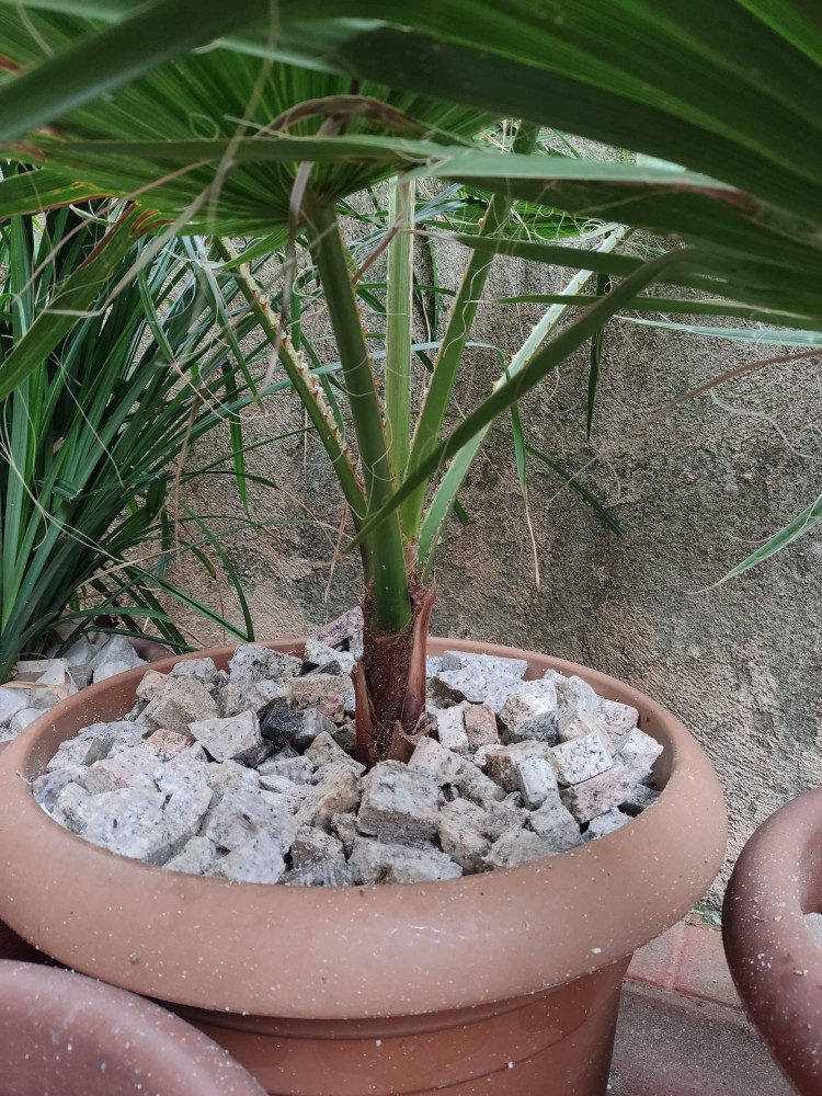 WhatsApp Image 2025-12-06 at 01.17.05.jpeg