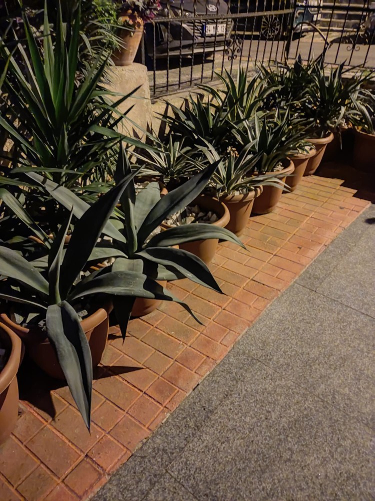 WhatsApp Image 2025-12-07 at 00.46.19(4).jpeg