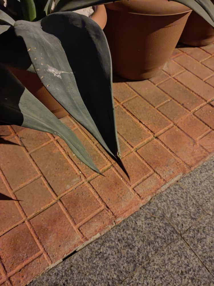 WhatsApp Image 2025-12-07 at 00.46.20.jpeg