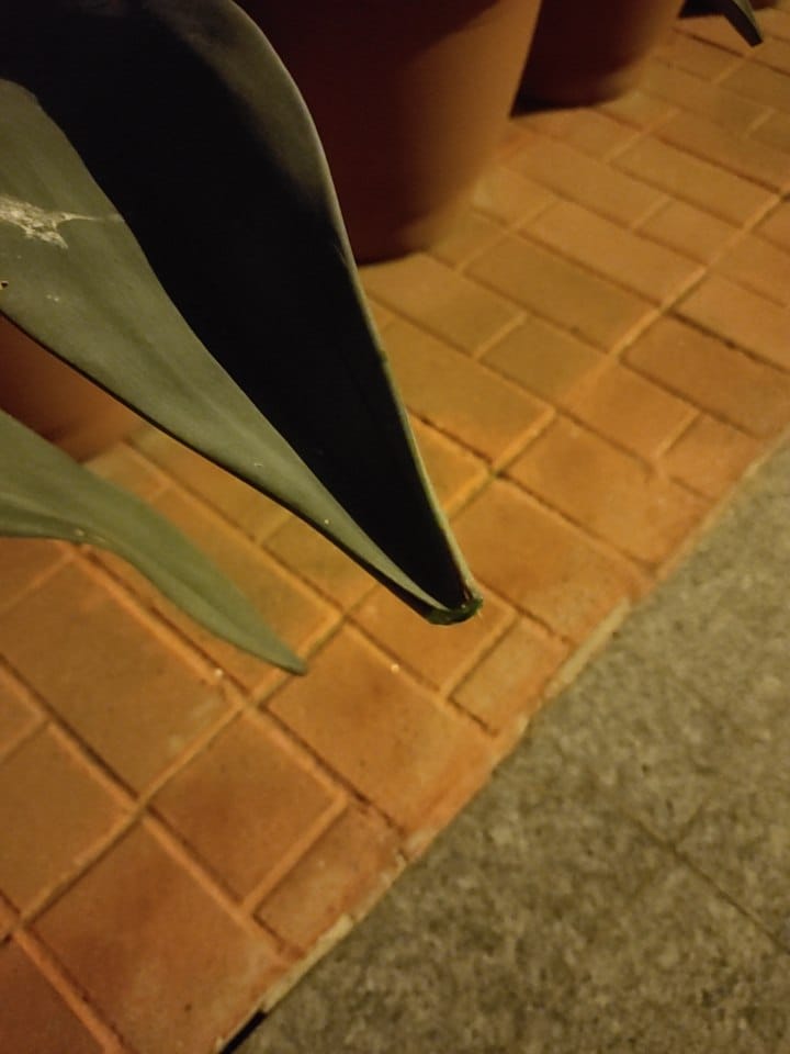 WhatsApp Image 2025-12-07 at 00.46.19(3).jpeg