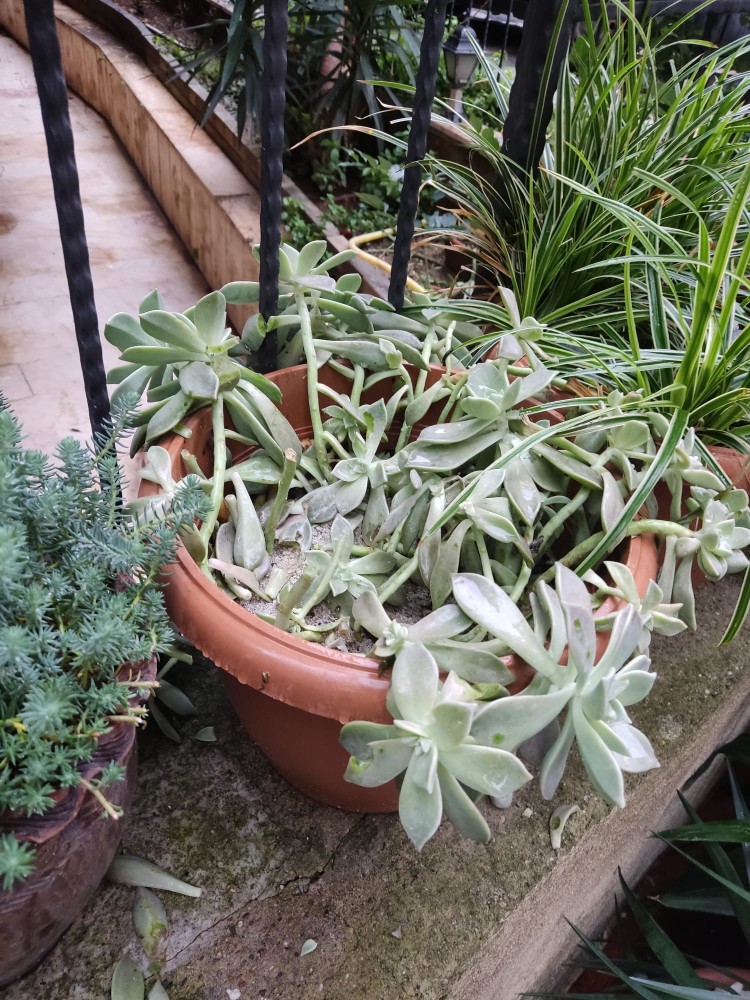 WhatsApp Image 2025-12-08 at 16.57.07(1).jpeg