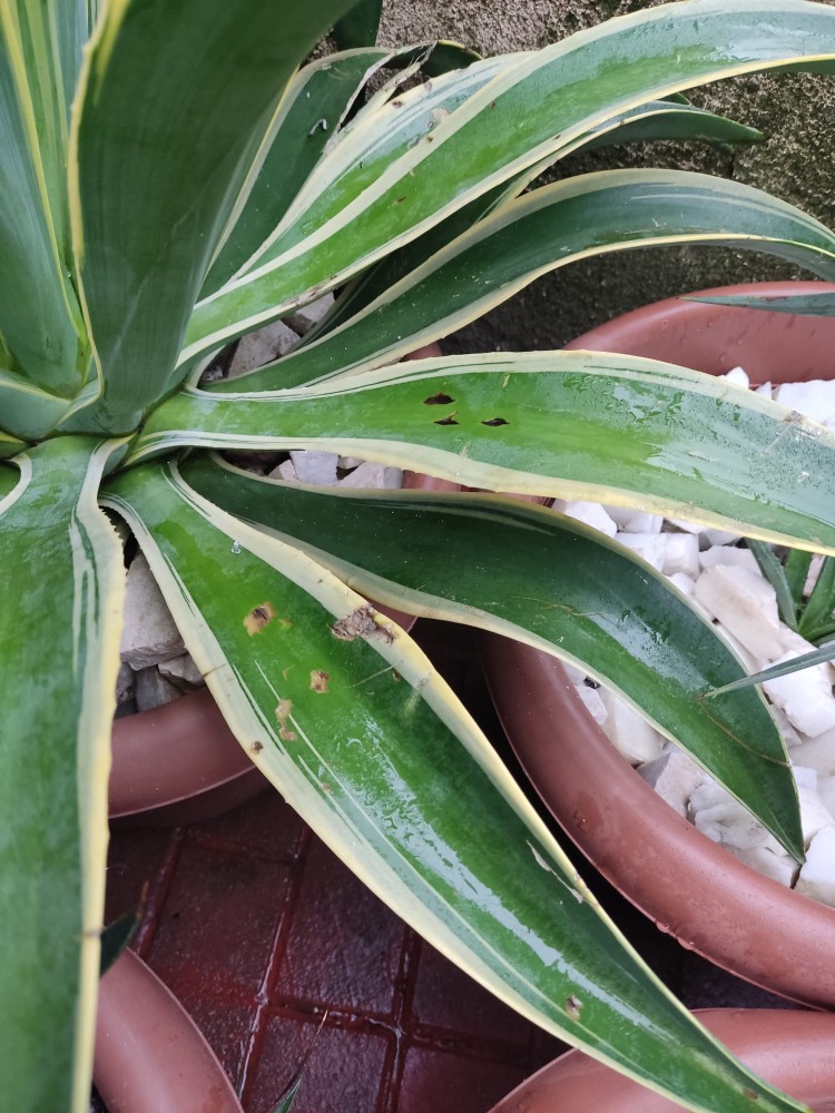 WhatsApp Image 2025-12-08 at 16.57.06.jpeg