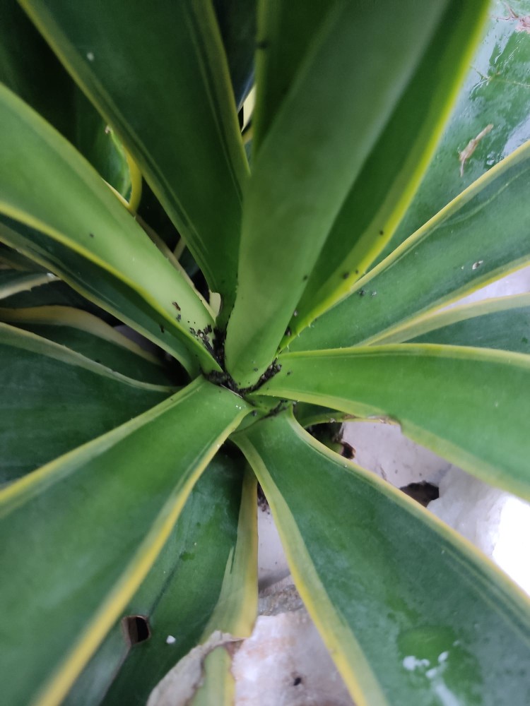 WhatsApp Image 2025-12-08 at 16.57.05.jpeg