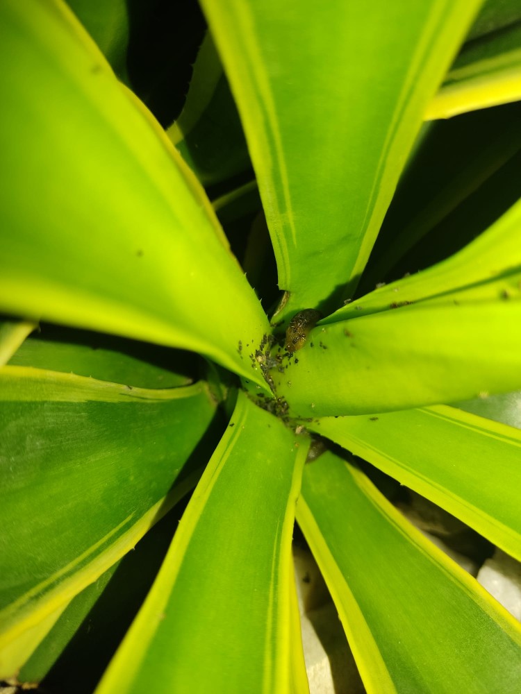 WhatsApp Image 2025-12-12 at 22.26.32.jpeg