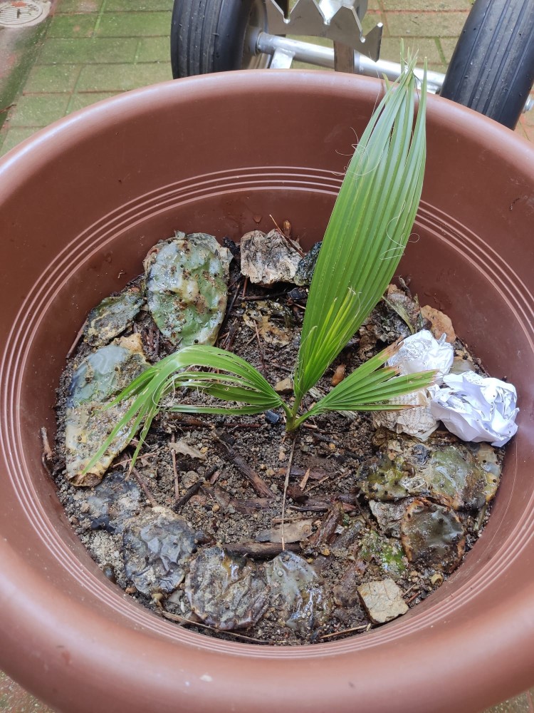 WhatsApp Image 2025-12-13 at 22.48.20.jpeg