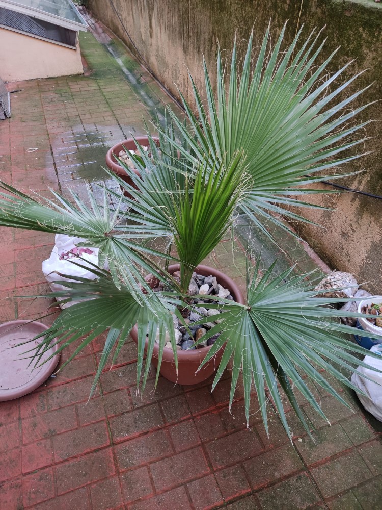 WhatsApp Image 2025-12-13 at 22.48.18(2).jpeg