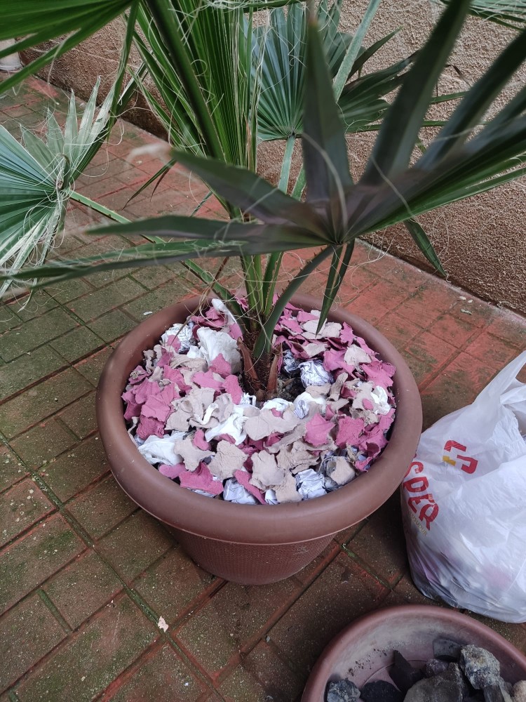 WhatsApp Image 2025-12-13 at 22.48.18(1).jpeg