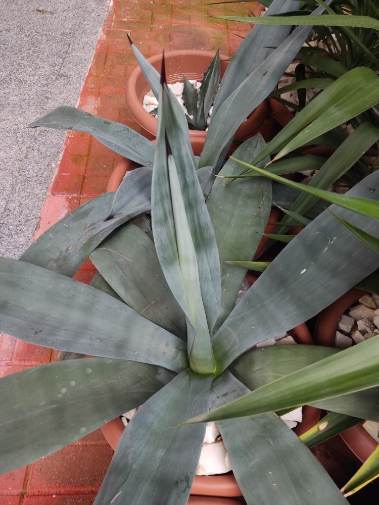 WhatsApp Image 2025-12-13 at 22.48.16.jpeg