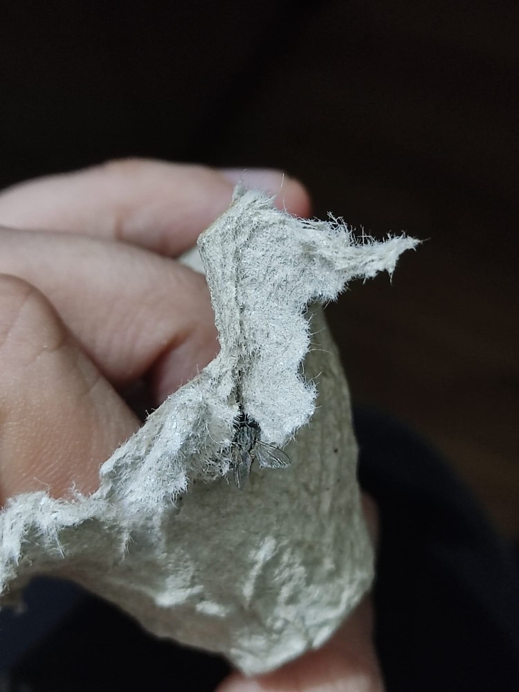 WhatsApp Image 2025-12-13 at 22.48.20(2).jpeg