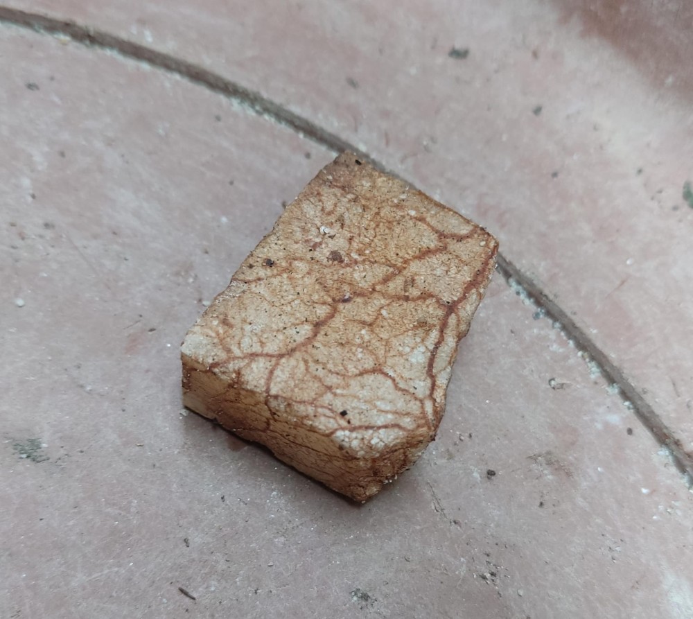 WhatsApp Image 2025-12-13 at 22.48.17.jpeg