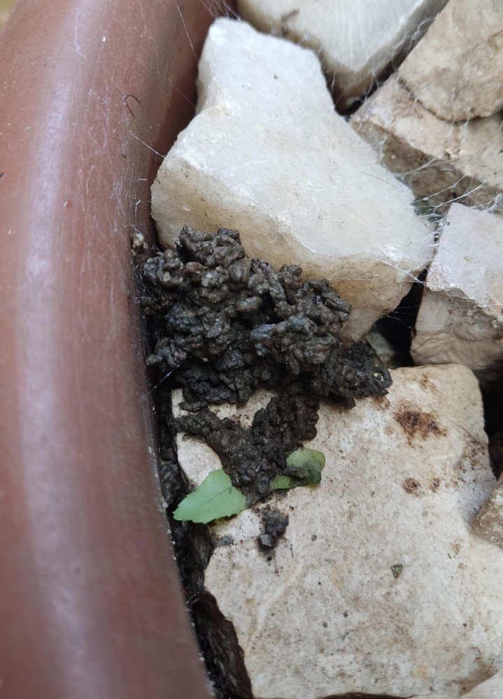 WhatsApp Image 2025-12-13 at 22.48.18.jpeg