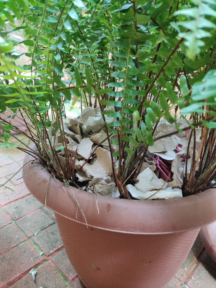 WhatsApp Image 2025-12-13 at 22.48.17(1).jpeg