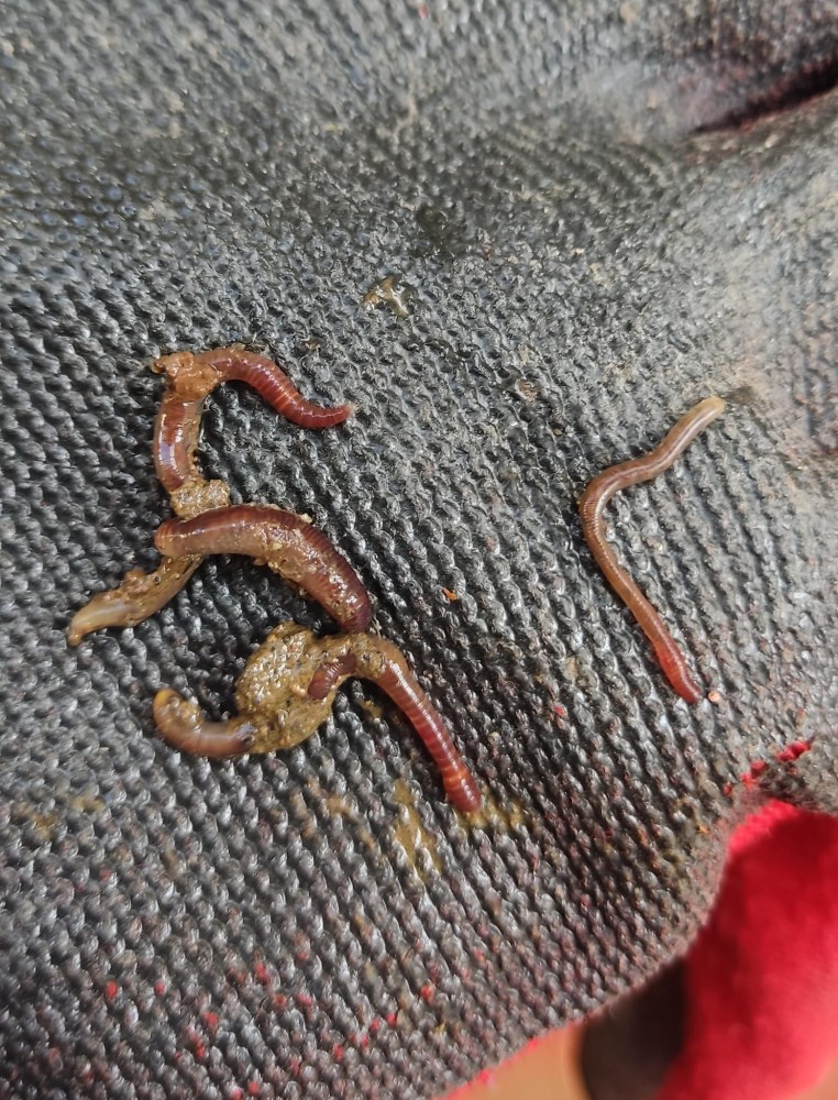 WhatsApp Image 2025-12-13 at 22.48.20(1).jpeg