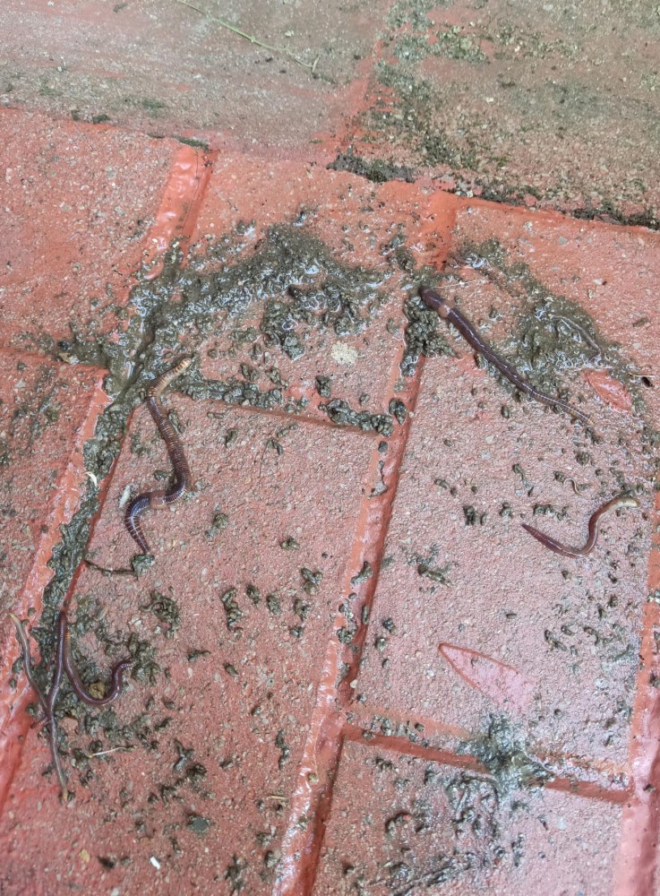 WhatsApp Image 2025-12-13 at 22.48.19.jpeg