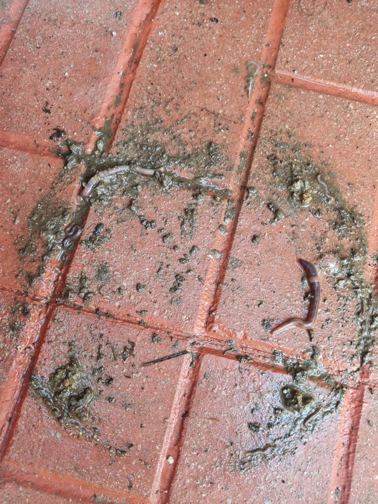 WhatsApp Image 2025-12-13 at 22.48.19(2).jpeg