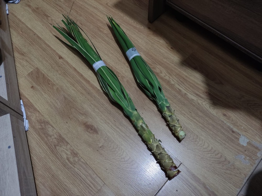 WhatsApp Image 2025-12-18 at 20.39.17.jpeg