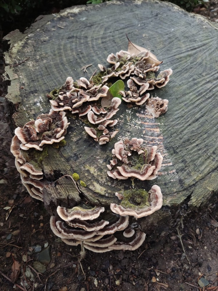 WhatsApp Image 2025-12-18 at 20.39.21(1).jpeg