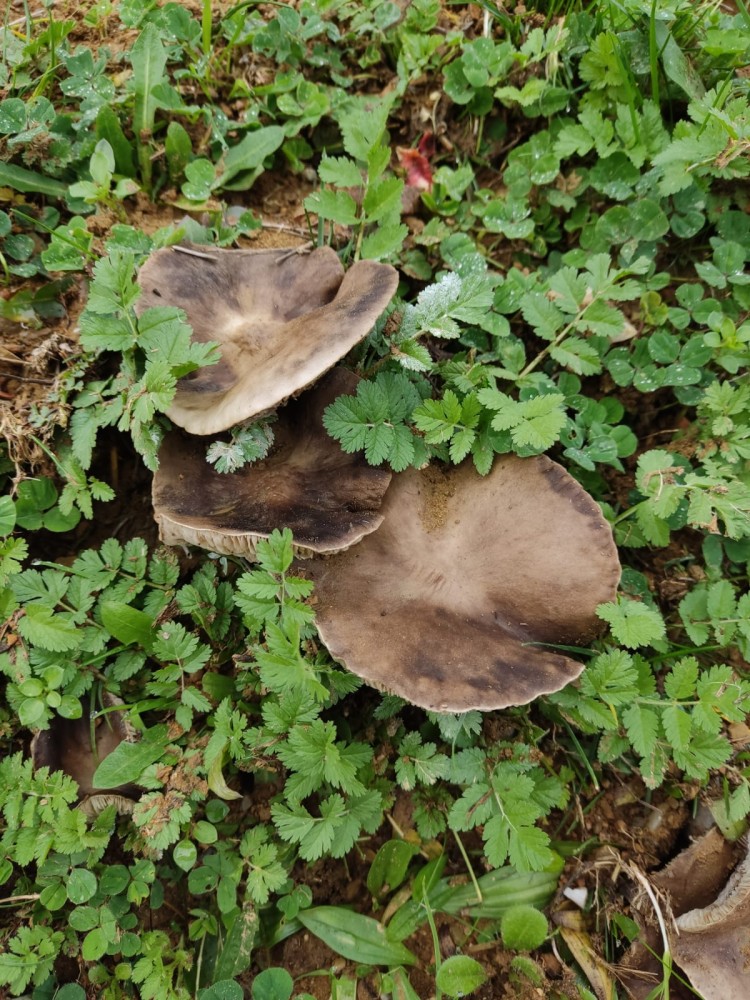 WhatsApp Image 2025-12-18 at 20.39.21.jpeg