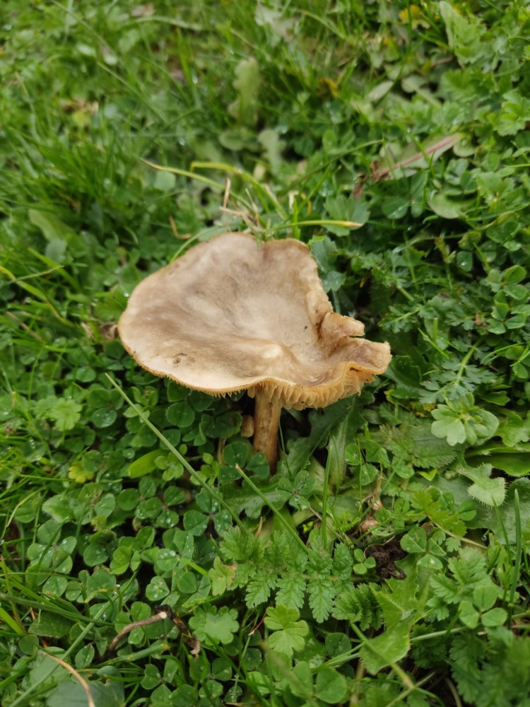 WhatsApp Image 2025-12-18 at 20.39.20(2).jpeg