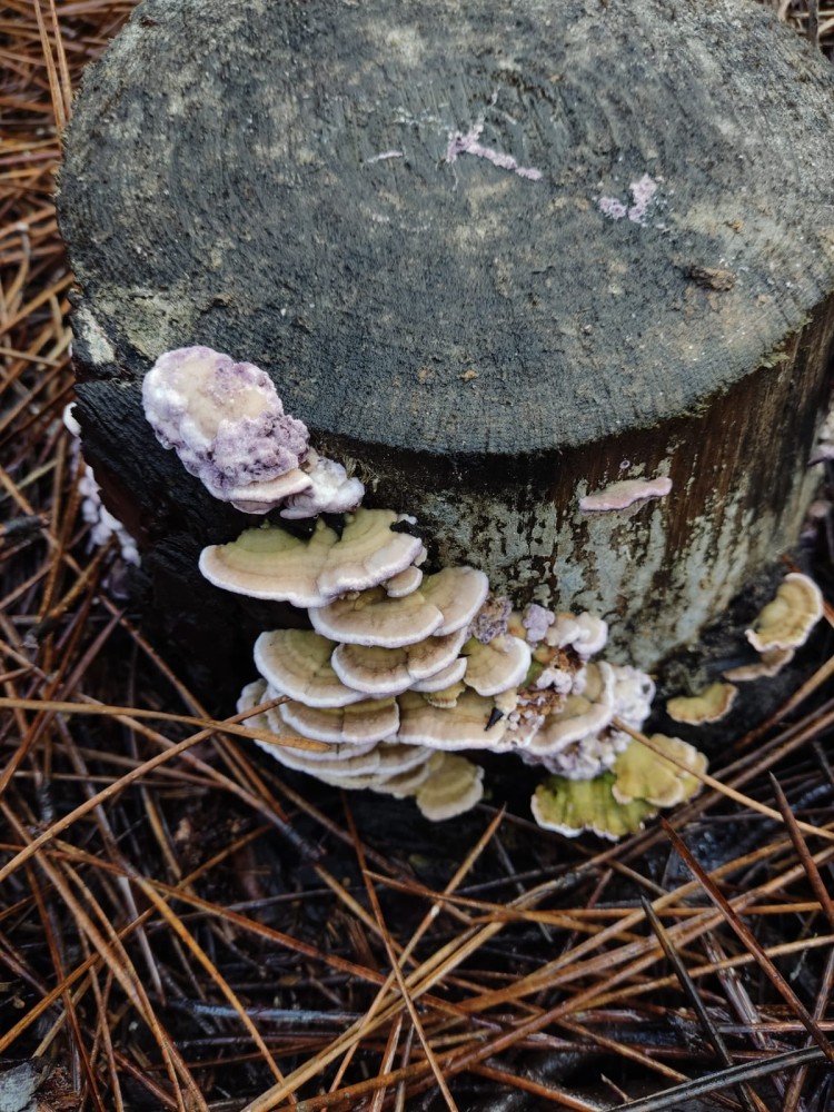 WhatsApp Image 2025-12-18 at 20.39.20.jpeg