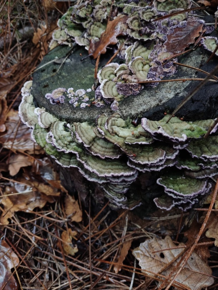 WhatsApp Image 2025-12-18 at 20.39.18(3).jpeg