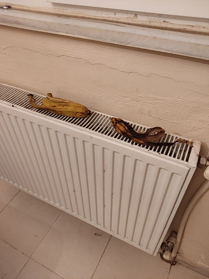 WhatsApp Image 2025-12-18 at 20.39.18(2).jpeg