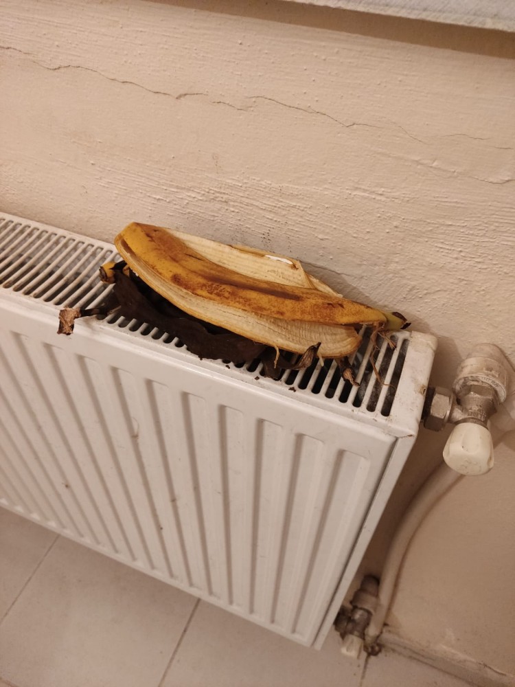 WhatsApp Image 2025-12-18 at 20.39.17(3).jpeg