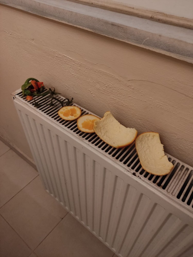 WhatsApp Image 2025-12-18 at 20.39.17(2).jpeg