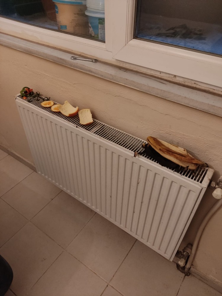 WhatsApp Image 2025-12-18 at 20.39.18.jpeg