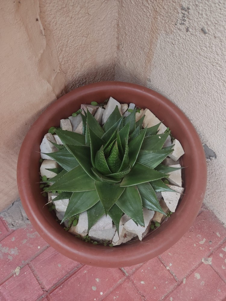 WhatsApp Image 2025-12-20 at 15.33.37(1).jpeg