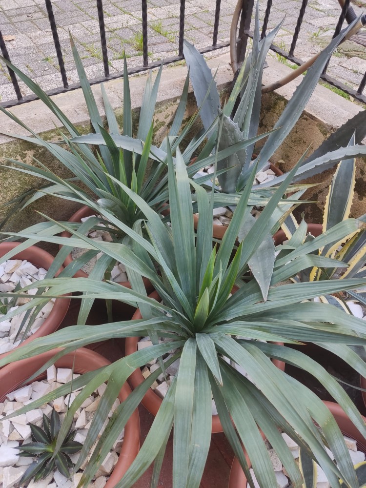 WhatsApp Image 2025-12-20 at 15.33.36(2).jpeg