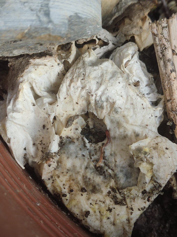 WhatsApp Image 2025-12-20 at 15.33.37(2).jpeg