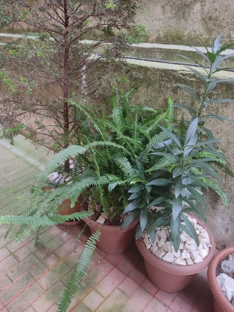 WhatsApp Image 2025-12-20 at 16.57.48(1).jpeg