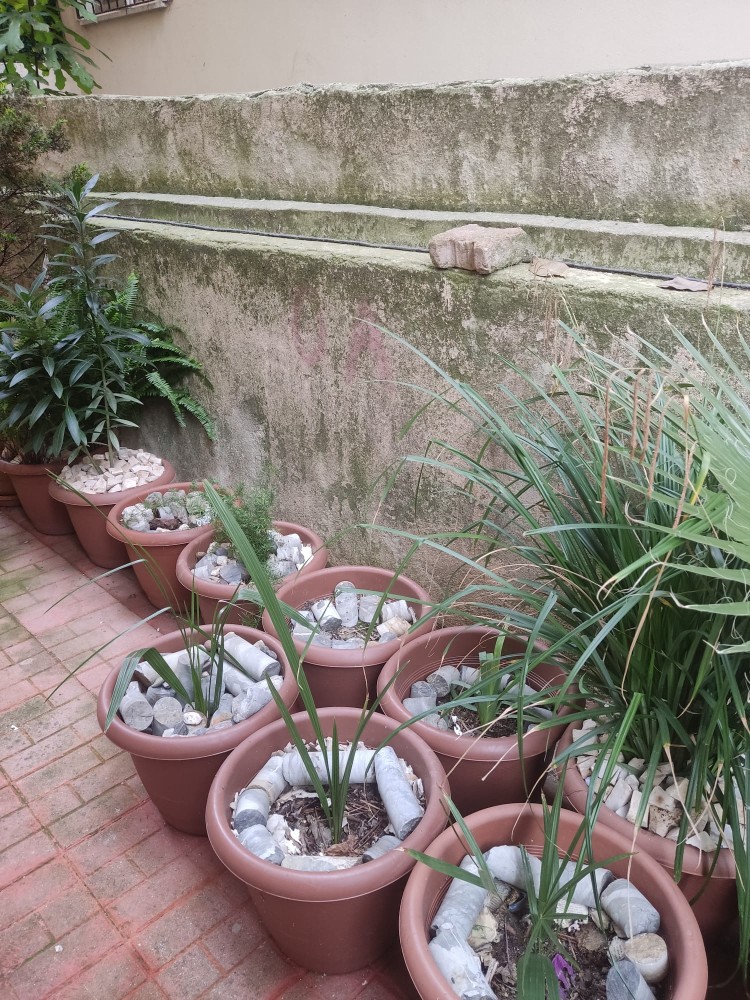 WhatsApp Image 2025-12-20 at 16.57.48.jpeg