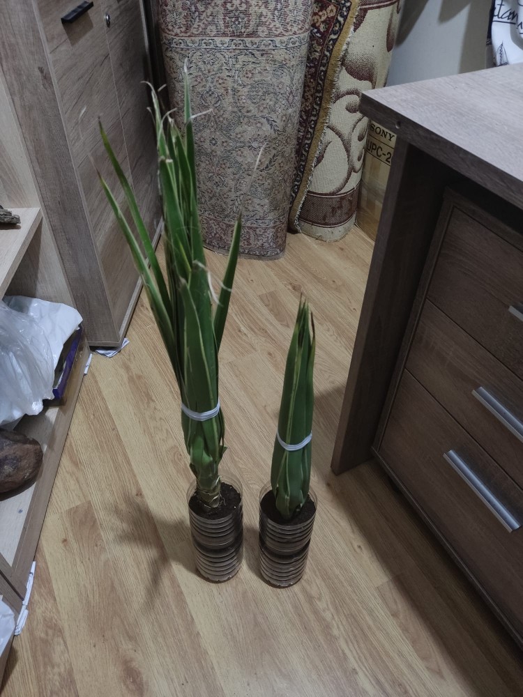 WhatsApp Image 2025-12-20 at 21.43.34.jpeg