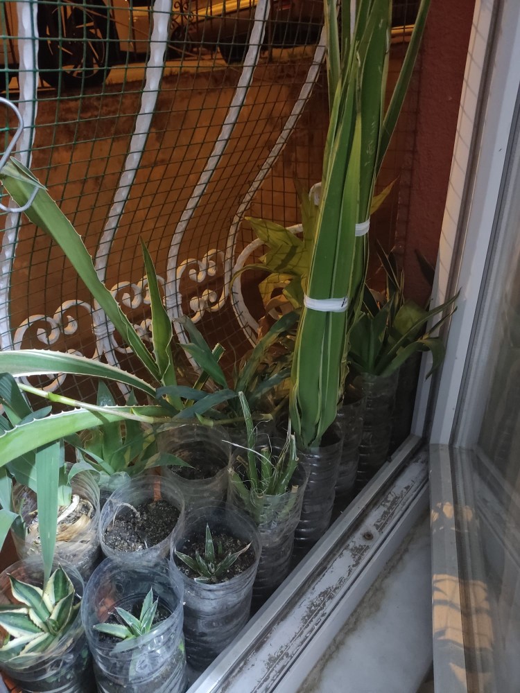 WhatsApp Image 2025-12-20 at 21.51.46.jpeg