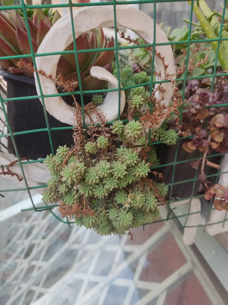 WhatsApp Image 2025-12-20 at 15.33.37.jpeg