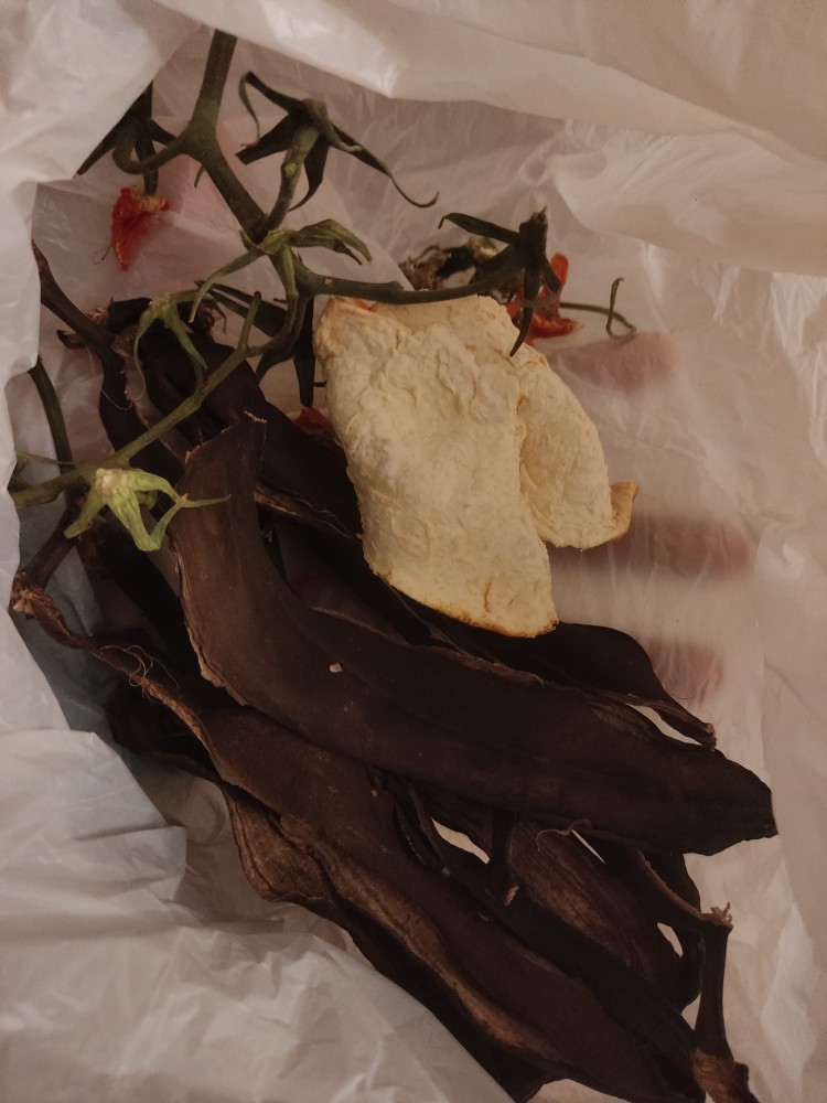 WhatsApp Image 2025-12-21 at 17.38.49.jpeg