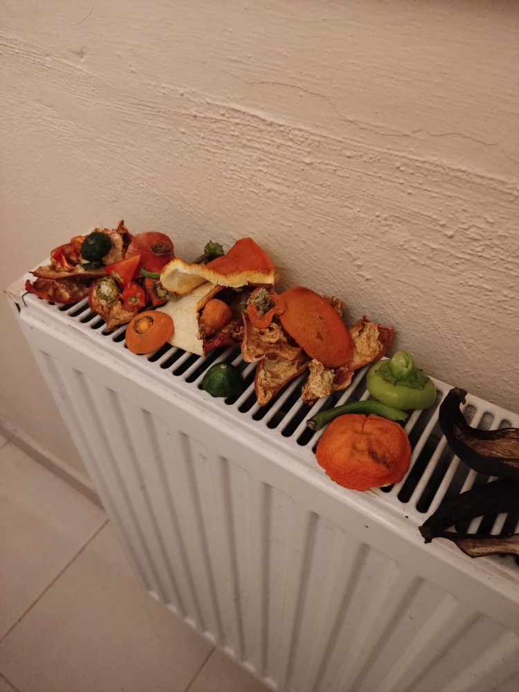 WhatsApp Image 2025-12-26 at 13.37.58.jpeg