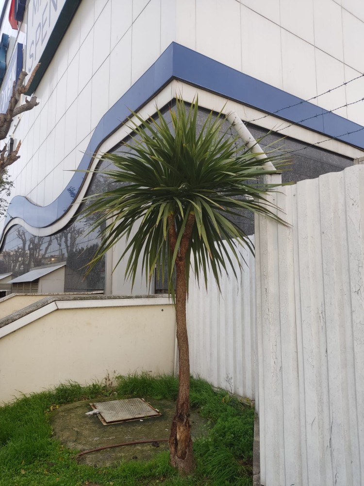 WhatsApp Image 2025-12-27 at 18.07.38.jpeg